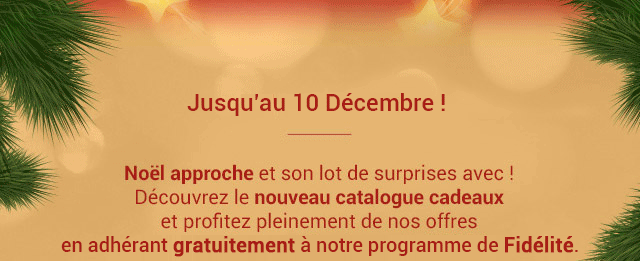 Noël approche et son lot de surprises avec ! Découvrez le nouveau catalogue cadeaux Carrefour Market et trouvez le cadeau idéal.
