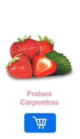 Fraises Carpentras