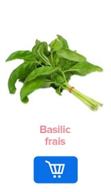 Basilic Frais